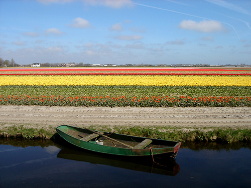 Keukenhof Gardens