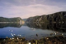 cruises on the danube